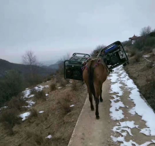 江西深圳骡子运输队